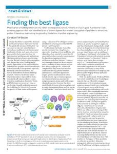 nchembio.2533-Protein engineering- Finding the best ligase