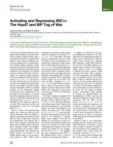 Activating-and-Repressing-IRE1---The-Hsp47-and-BiP-Tug-of_2018_Molecular-Cel