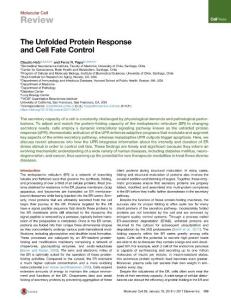 The-Unfolded-Protein-Response-and-Cell-Fate-Control_2018_Molecular-Cell