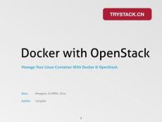 Docker容器与Openstack
