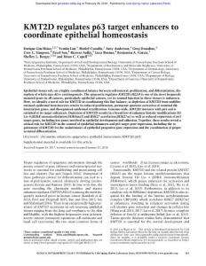 Genes Dev.-2018-Lin-Shiao-181-93-KMT2D regulates p63 target enhancers to coordinate epithelial homeostasis