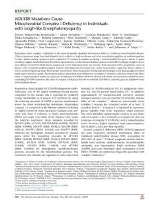 NDUFB8-Mutations-Cause-Mitochondrial-Complex-I-Defic_2018_The-American-Journ