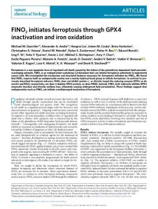 nchembio.2018-FINO2 initiates ferroptosis through GPX4 inactivation and iron oxidation