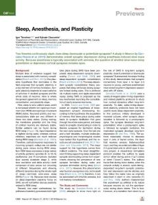 Sleep--Anesthesia--and-Plasticity_2018_Neuron