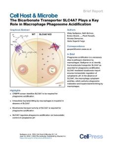 The-Bicarbonate-Transporter-SLC4A7-Plays-a-Key-Role-in-Mac_2018_Cell-Host---