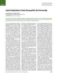 Lipid-Catabolism-Fuels-Drosophila-Gut-Immunity_2018_Cell-Host---Microbe
