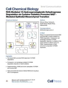 ROS-Mediated-15-Hydroxyprostaglandin-Dehydrogenase-Degradatio_2018_Cell-Chem