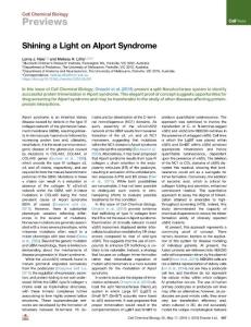 Shining-a-Light-on-Alport-Syndrome_2018_Cell-Chemical-Biology