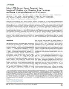 Patient-iPSC-Derived-Kidney-Organoids-Show-Functional-Va_2018_The-American-J