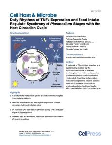 Daily-Rhythms-of-TNF--Expression-and-Food-Intake-Regulate-Syn_2018_Cell-Host