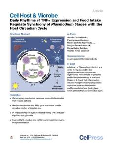 Daily-Rhythms-of-TNF--Expression-and-Food-Intake-Regulate-Syn_2018_Cell-Host