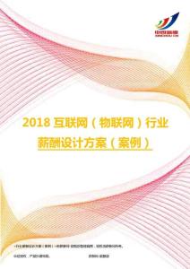 2018互联网（物联网）行业薪酬设计方案（案例）.pdf