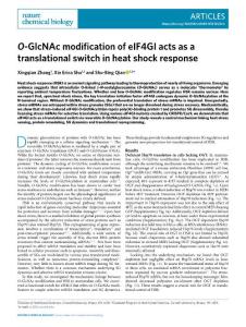 nchembio.2018-O-GlcNAc modification of eIF4GI acts as a translational switch in heat shock response