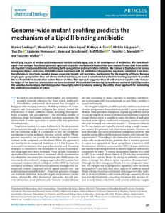nchembio.2018-Genome-wide mutant profiling predicts the mechanism of a Lipid II binding antibiotic