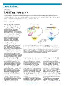 nchembio.2018-PAINTing translation