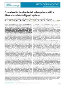 nchembio.2018-Gramibactin is a bacterial siderophore with a diazeniumdiolate ligand system