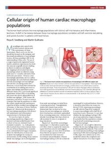 nm.2018-Cellular origin of human cardiac macrophage populations