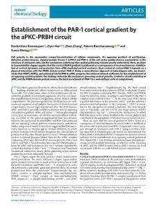 nchembio.2018-Establishment of the PAR-1 cortical gradient by the aPKC-PRBH circuit