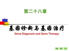 第28章 基因诊断与基因治疗(1)