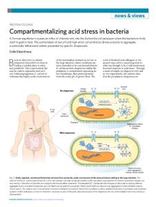 nchembio.2018-Compartmentalizing acid stress in bacteria