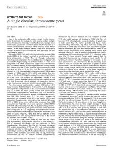 cr.2018-A single circular chromosome yeast