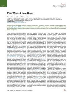 Pain-Wars--A-New-Hope_2018_Neuron