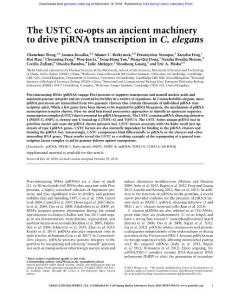 Genes Dev.-2018-Weng-The USTC co-opts an ancient machinery to drive piRNA transcription in C. elegans