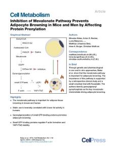 Inhibition-of-Mevalonate-Pathway-Prevents-Adipocyte-Browning-i_2018_Cell-Met