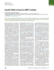 Insulin-PACS-a-Punch-in-SIRT1-Activity_2018_Molecular-Cell