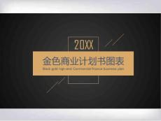 精致扁平化黑金创业融资PPT图表