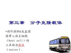 第三章 分子克隆载体