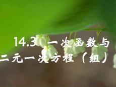 一次函数与二元一次方程