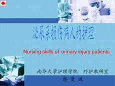 泌尿系损伤护理11