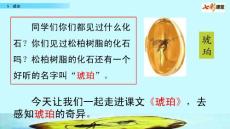 部编人教版小学四年级下册语文《5  琥珀》共2课时PPT课件49
