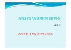 ANSYS WB培训课件5