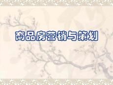 商品房营销与策划