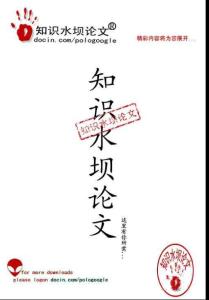 知识水坝论文
