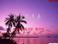 钓鱼的启示课件