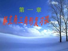 解直角三角形复习课