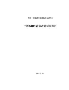 中国CDM政策改善研究报告
