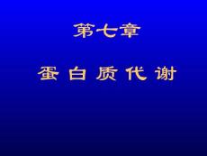 7.蛋白质代谢