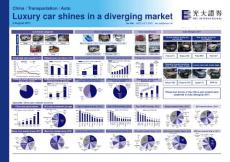 Luxury car shines in a diverging market - EBS