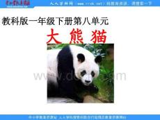 教科版一年级下册《大熊猫》PPT课件2【最新】