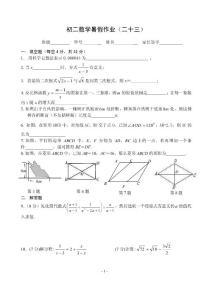 初二数学暑假作业(23)