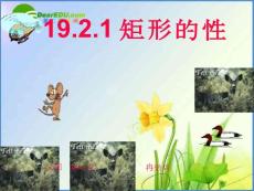 19.2.1特殊的平行四边形1矩形
