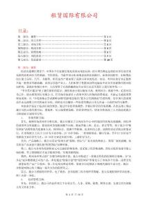 苏州世纪飞越公司“名城卡”项目商业计划书1