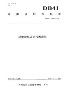 DB41∕T 1982-2020 耕地破坏鉴定技术规范(河南省)（17页）