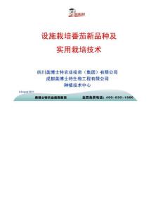 设施栽培番茄新品种及实用栽培技术