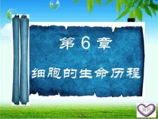 2012《名师伴你行》高三生物一轮复习课件人教版： 第十三课  细胞的增殖.ppt