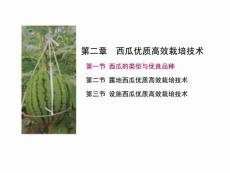 西瓜优质高效栽培技术